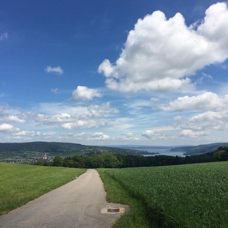 B&B Stein Am Rhein Eksteriør billede